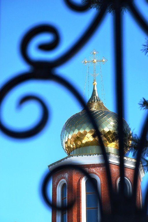 Купол храма Троицы Живоначальной в Лашме - Николай Варламов
