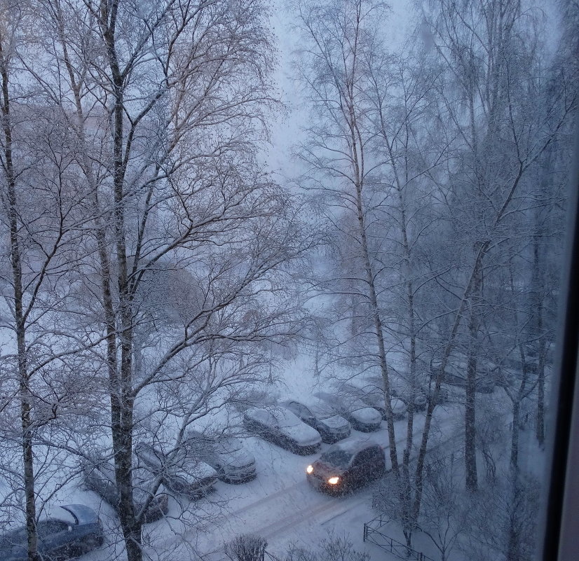 Вид из окна. Март - Владимир Гилясев