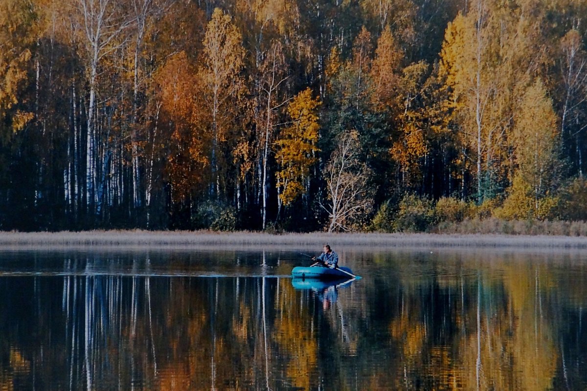 Лесное озеро - Юрий Владимирович 34