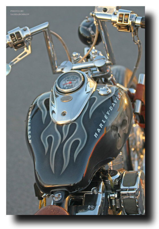 Легендарный Harley-Davidson - Sasha Bobkov