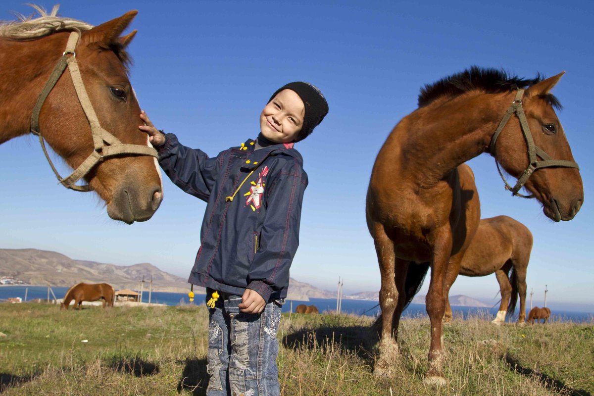 С конями ,лошадями) - Геннадий Валеев