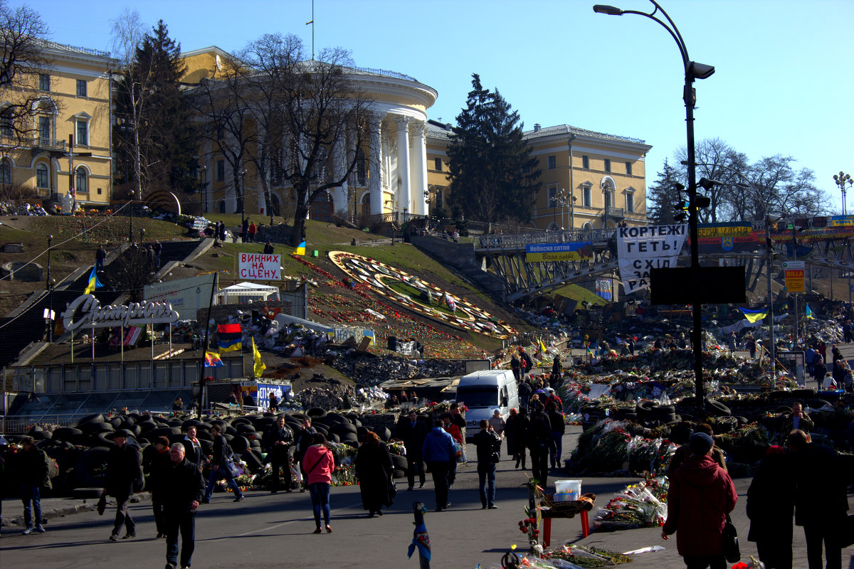 Майдан 2014 - Анна Борисенко