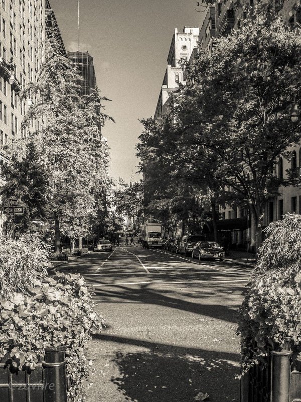 Streets of NYC - Andy Zav