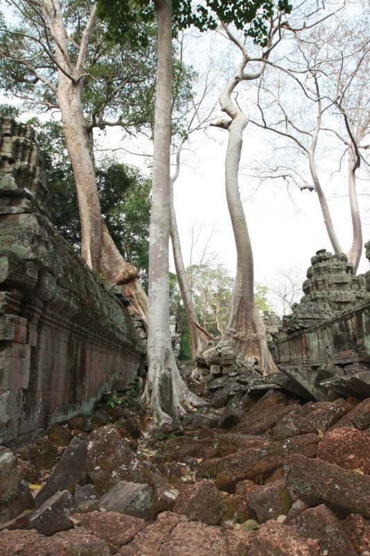Необыкновенная красота Камбоджа Ангкор Ватт - Lena Voevoda