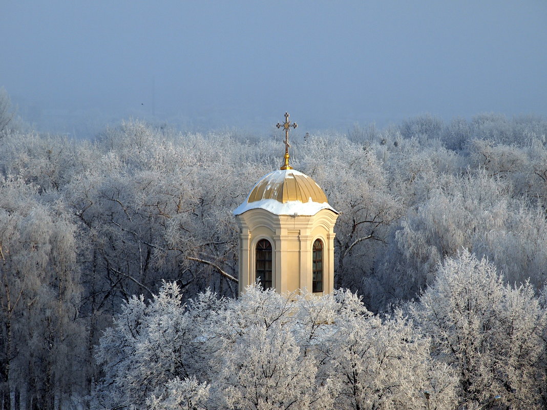 как-то зимним утром - Виталий Шарипов