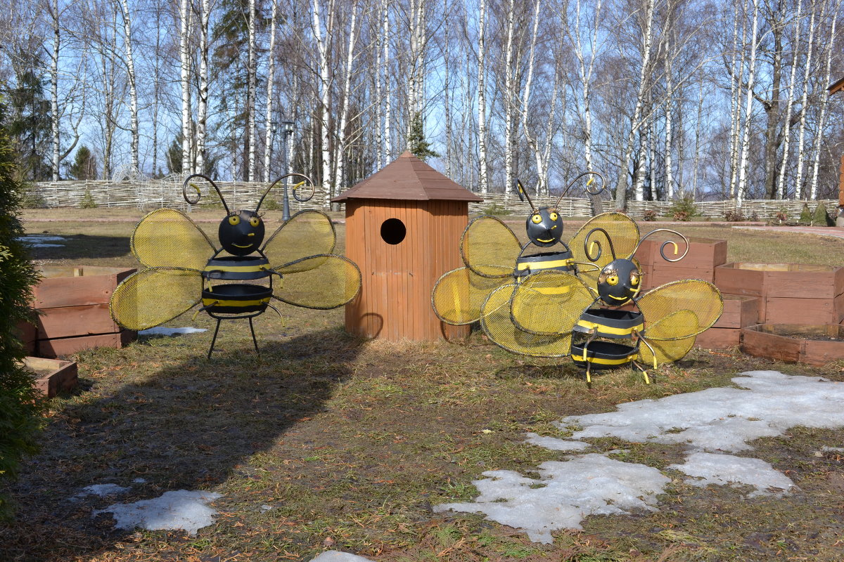Дикие пчёлы - Sergey Волков