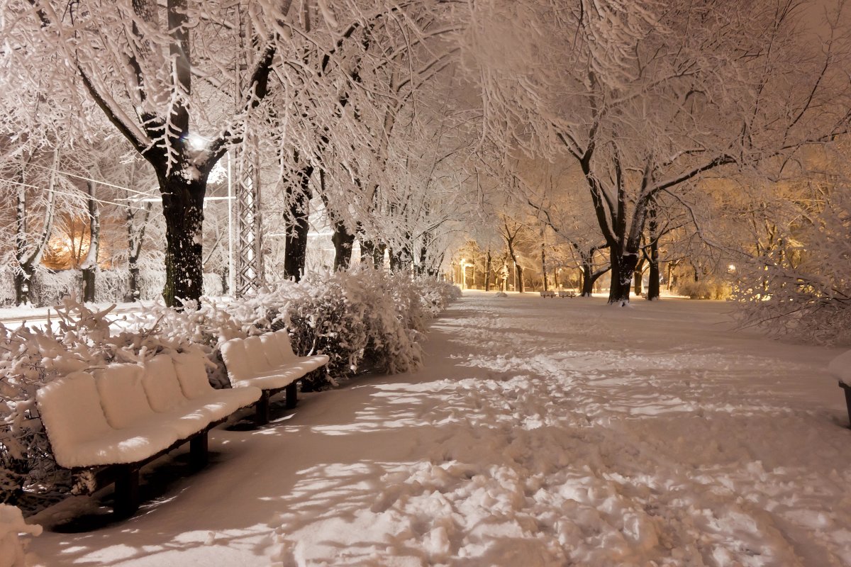 Красивый снегопад в парке