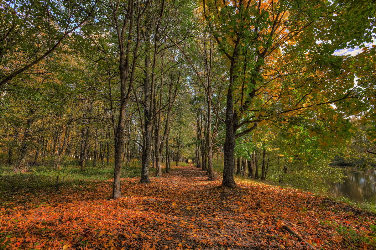 Осенний  городской парк - Nikita Volkov