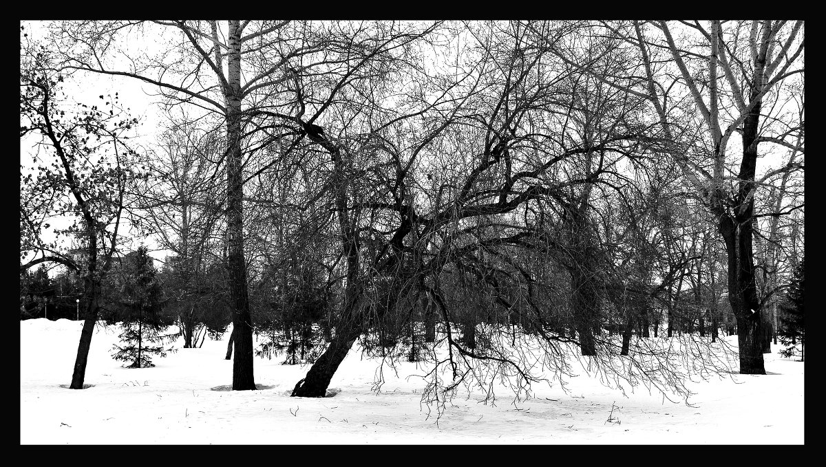 Затишье перед цветением - Анастасия Курганова