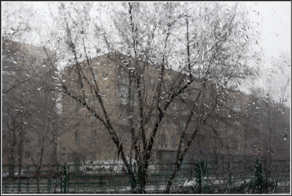 Москва. Начало вчерашнего снегопада. - Михаил Розенберг