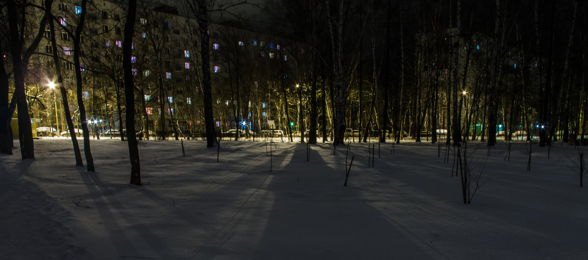 Тени в парке. - Алексей Сараев