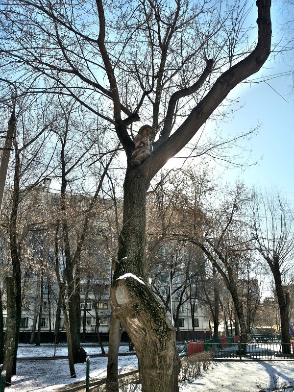 А у нас во дворе ...... - Владимир Прокофьев