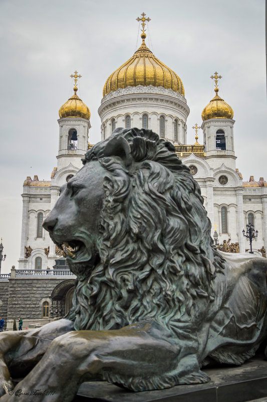 *** - Сергей Басов