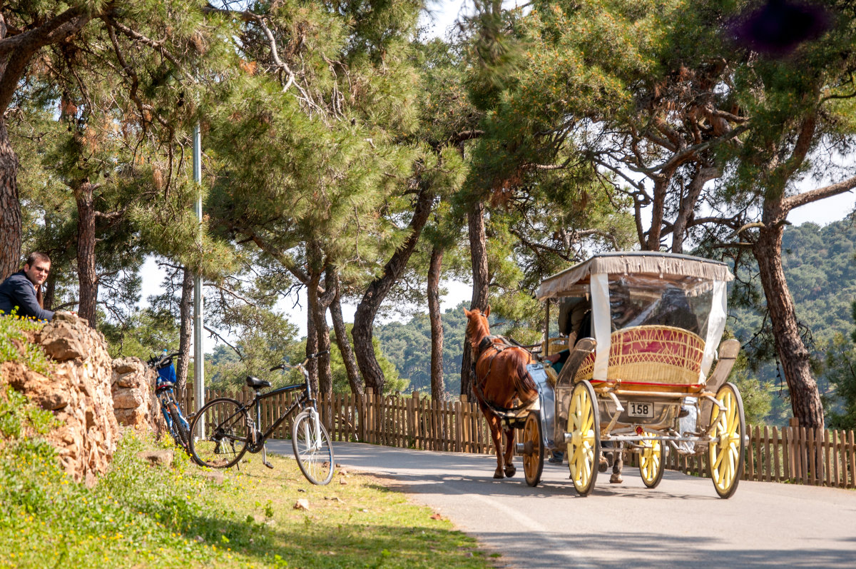 Büyükada Стамбул - Анастасия Барыльникова