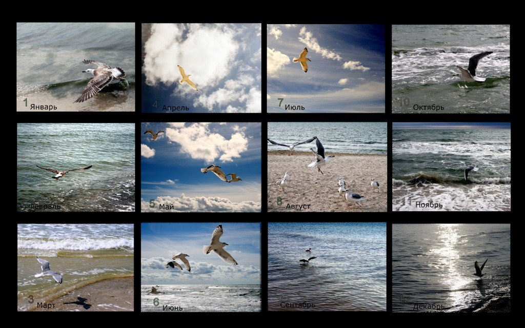 Море и чайки круглый год - Сергей Рубан