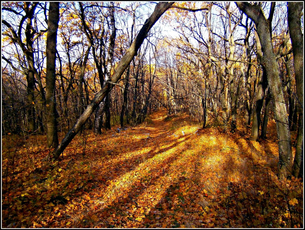 октябрь - Лариса Коломиец