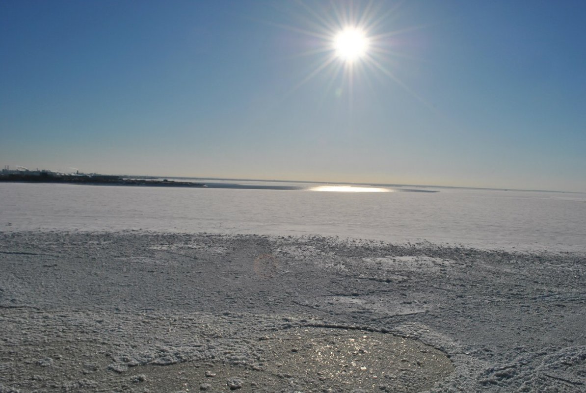 Белое солнце - маргарита 