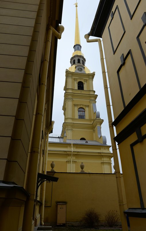 Петербургские зарисовки - Клавдия Синицина