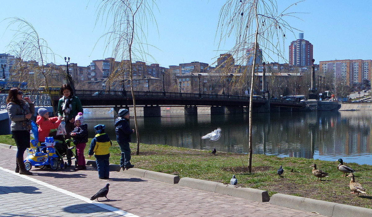 Дети и птицы в городе - Наталия С-ва