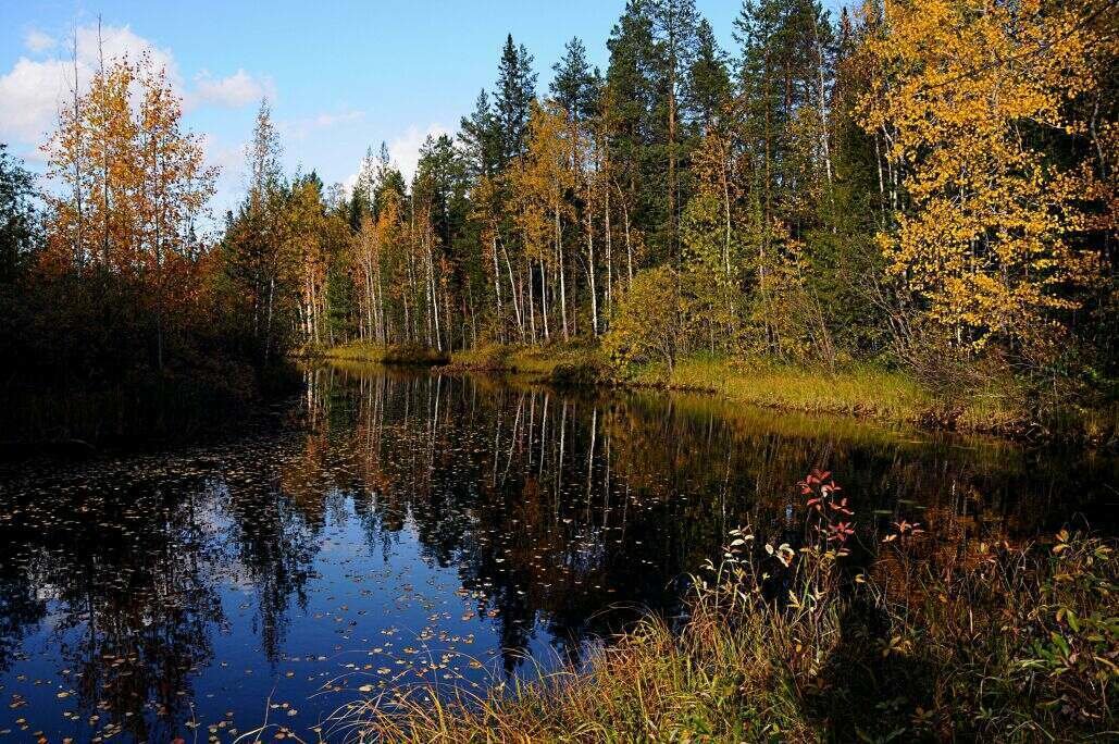 полдень - виталий 