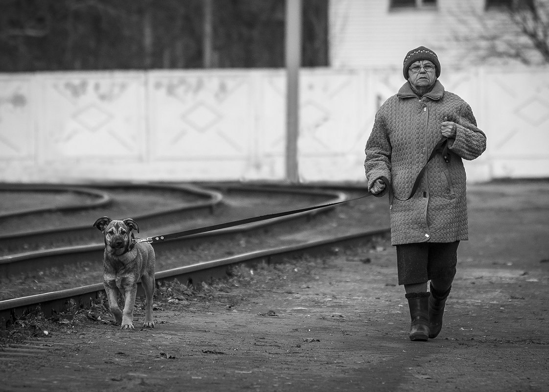 Бабушка с собакой - Василий Либко