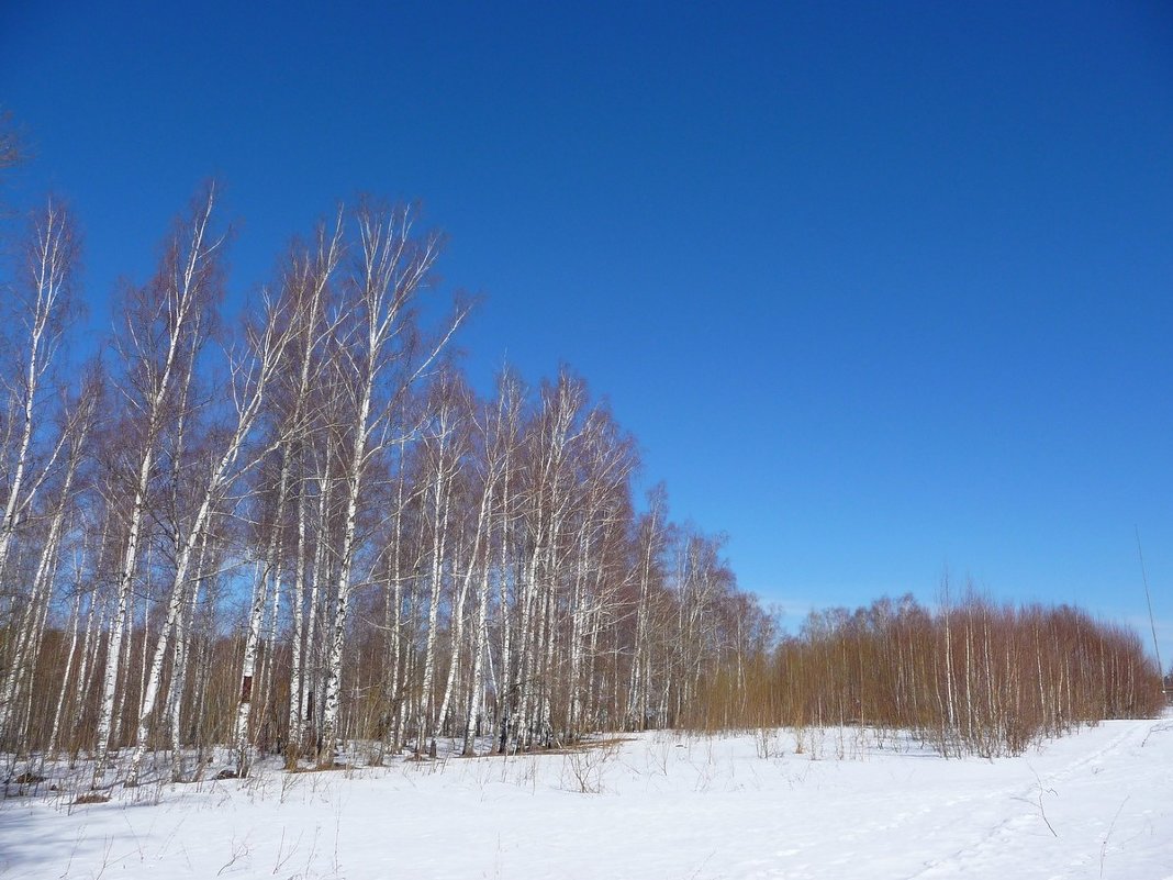 Небо и последний снег - Артем Калашников