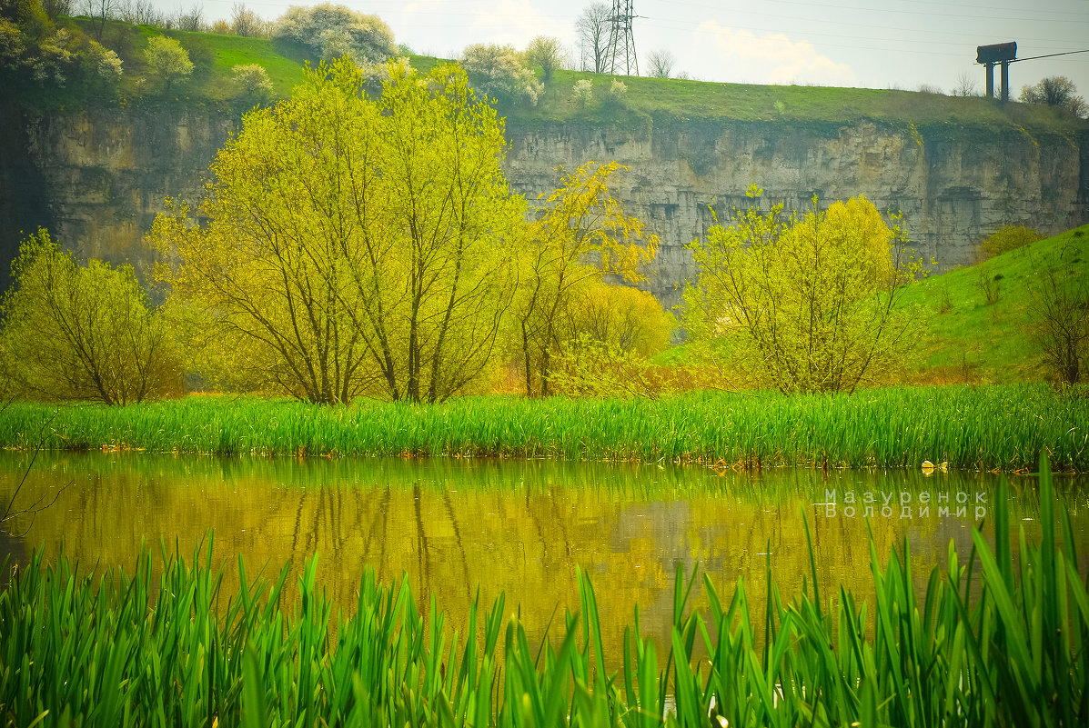 spring landscape - Владимир Мазуренок