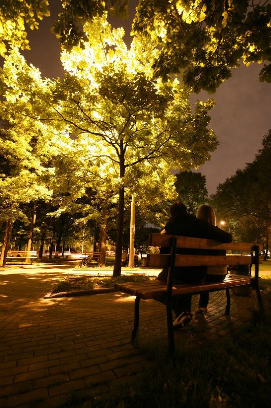 Ночь в парке... - Александр Липец