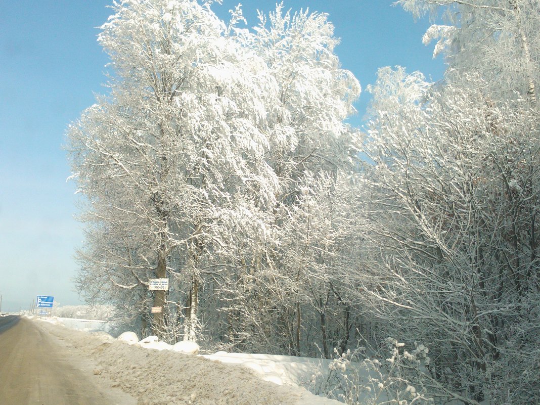 Зимняя природа - Александра Петрухина