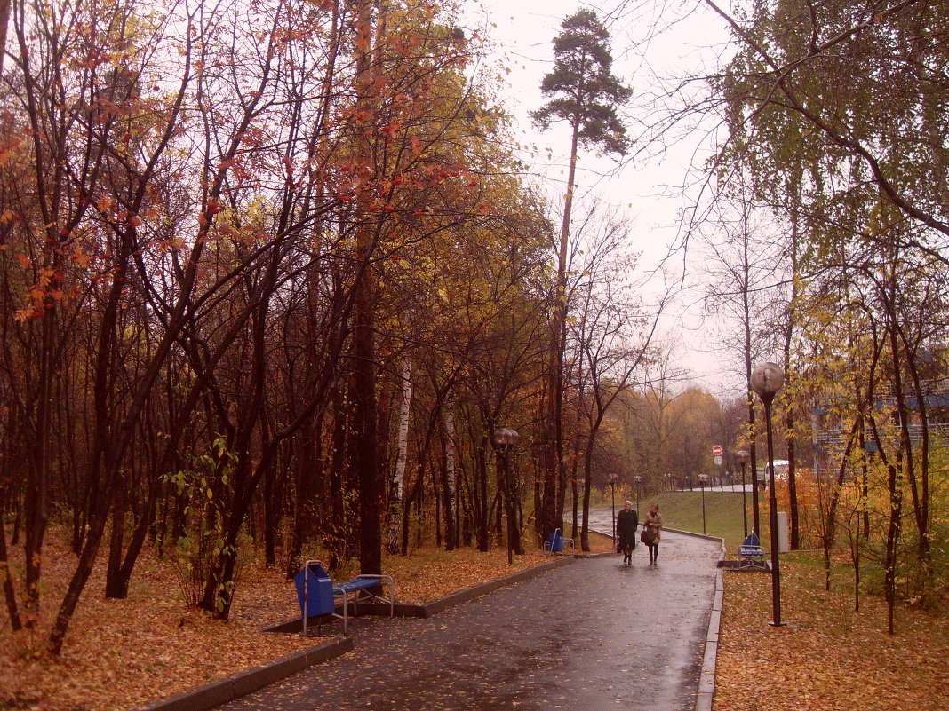 Осень - Жанна Тютюева