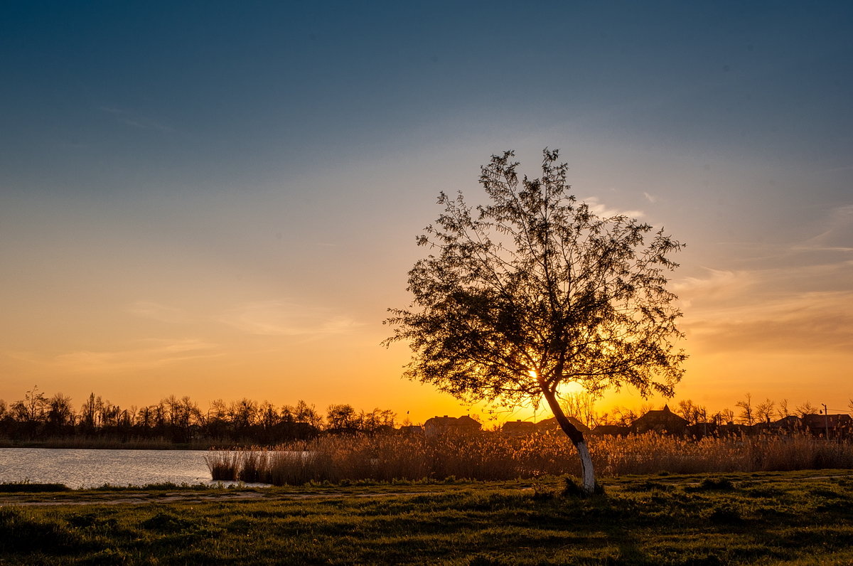 *** - Александр 