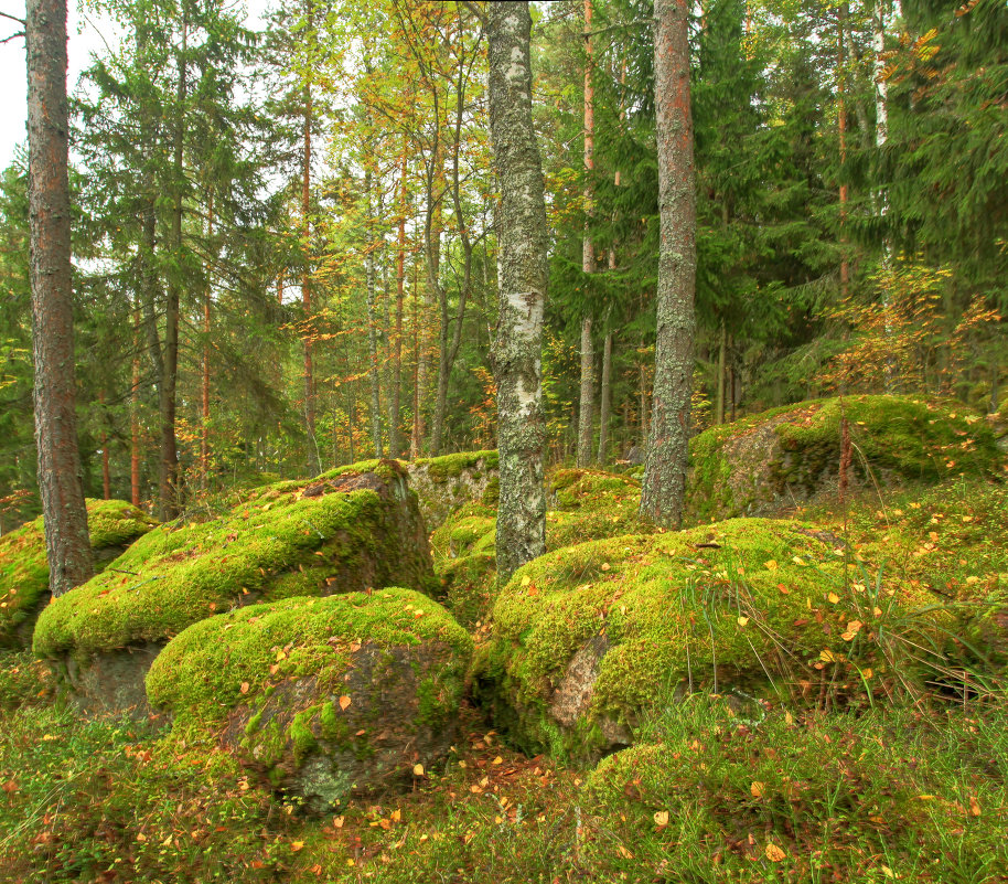 В парке - Сергей Григорьев