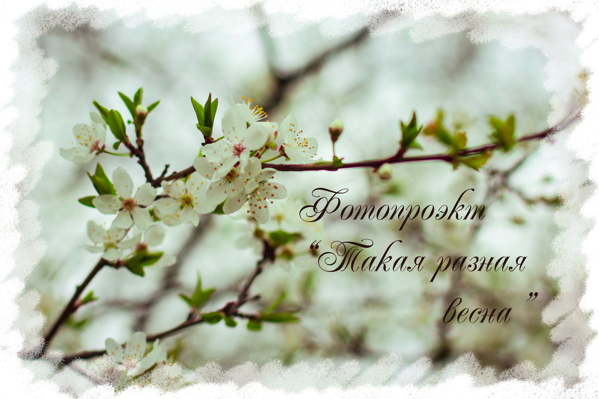 Такая разная весна - Екатерина Парфиленко