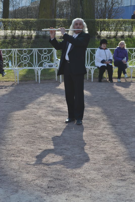 Флейтист - Вероника Большакова