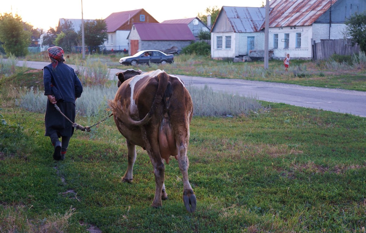 ... - Юлия Кондратьева