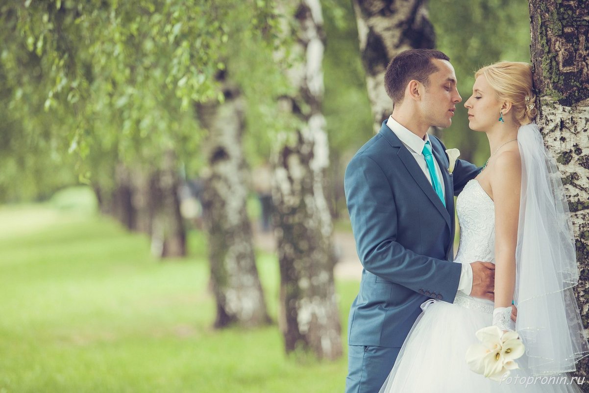 Свадьба в березках - Андрей Пронин