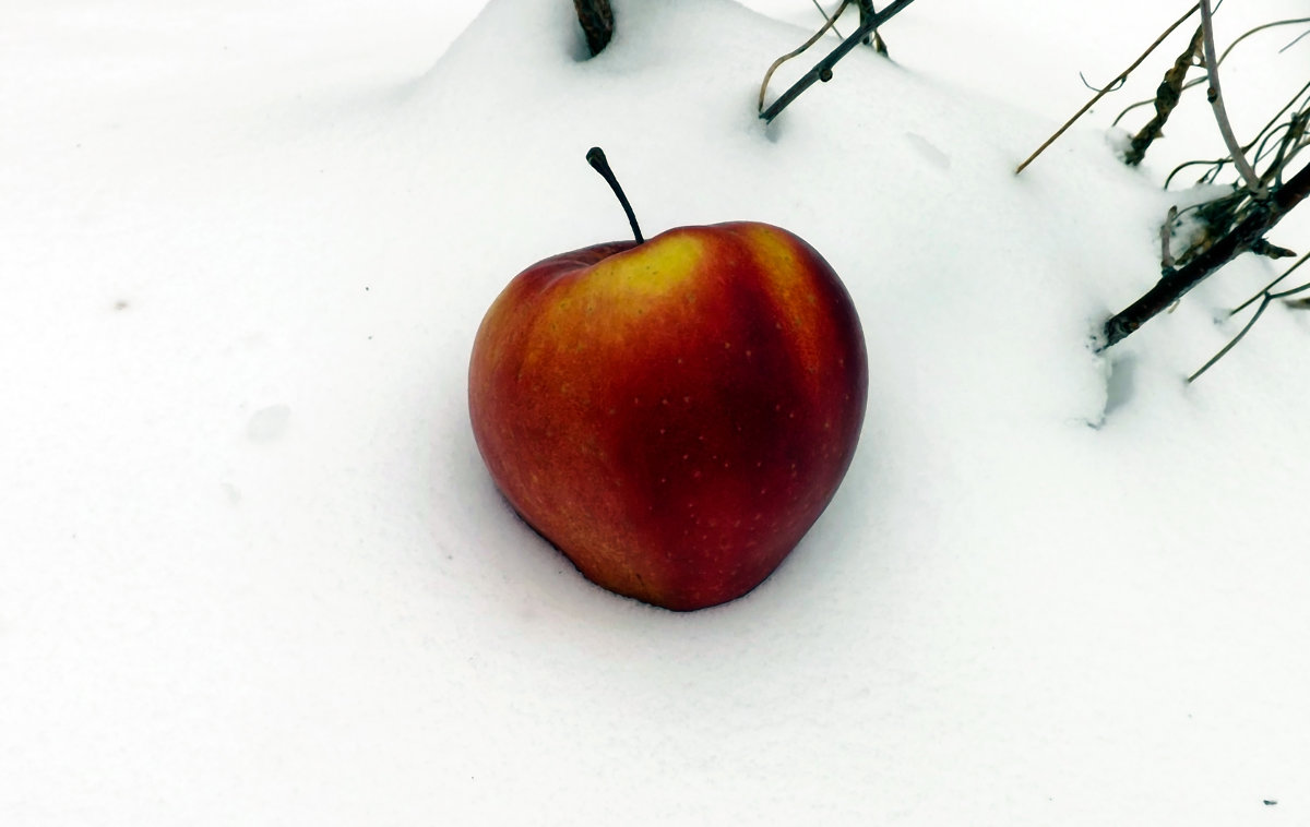 Яблоко на снегу - Виктор Киселев