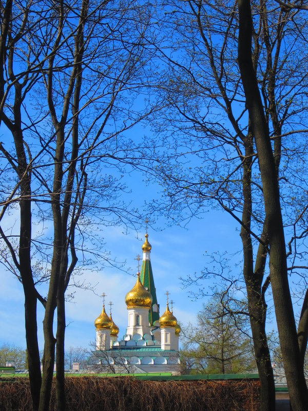 Новодевичий монастырь в Петербурге - Татьяна 