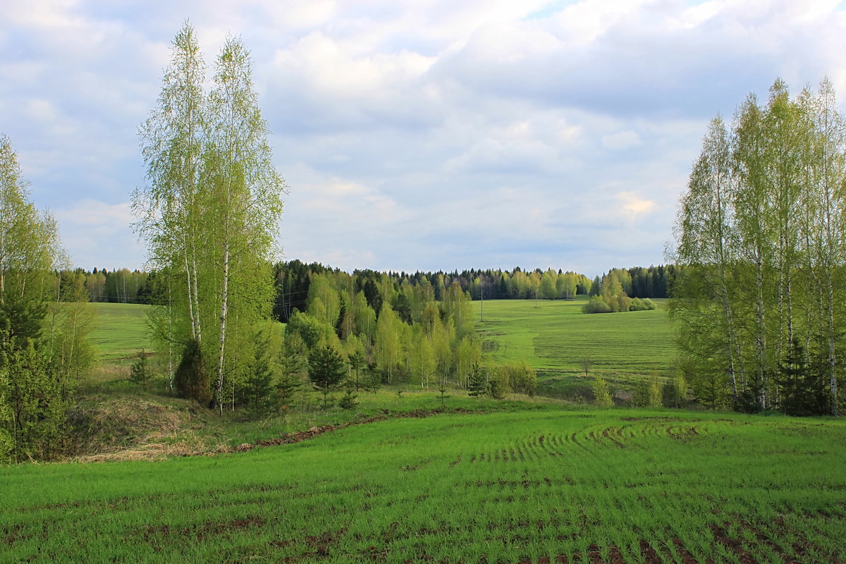 Природа Южного Урала Солнечная Поляна