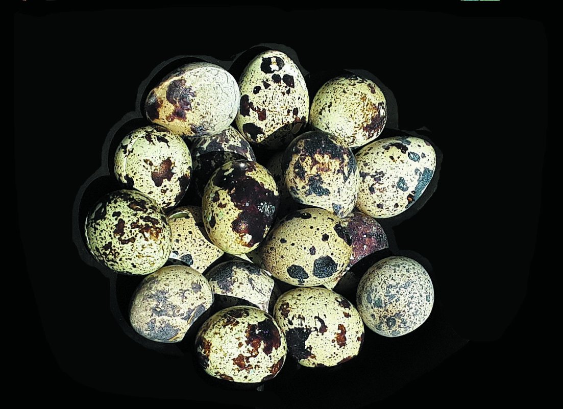 Яйца судьбы - Olya0207 