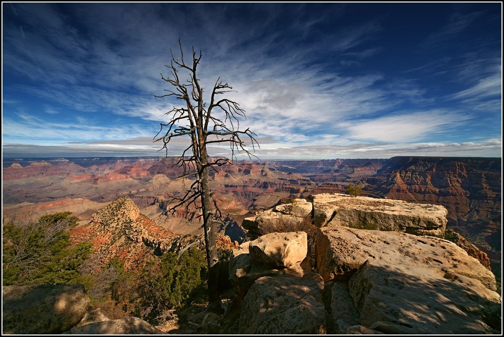 Grand Canyon(4) - Gregory Regelman
