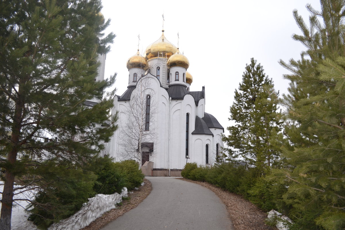 Дорога к храму - Евгений Пикаревский