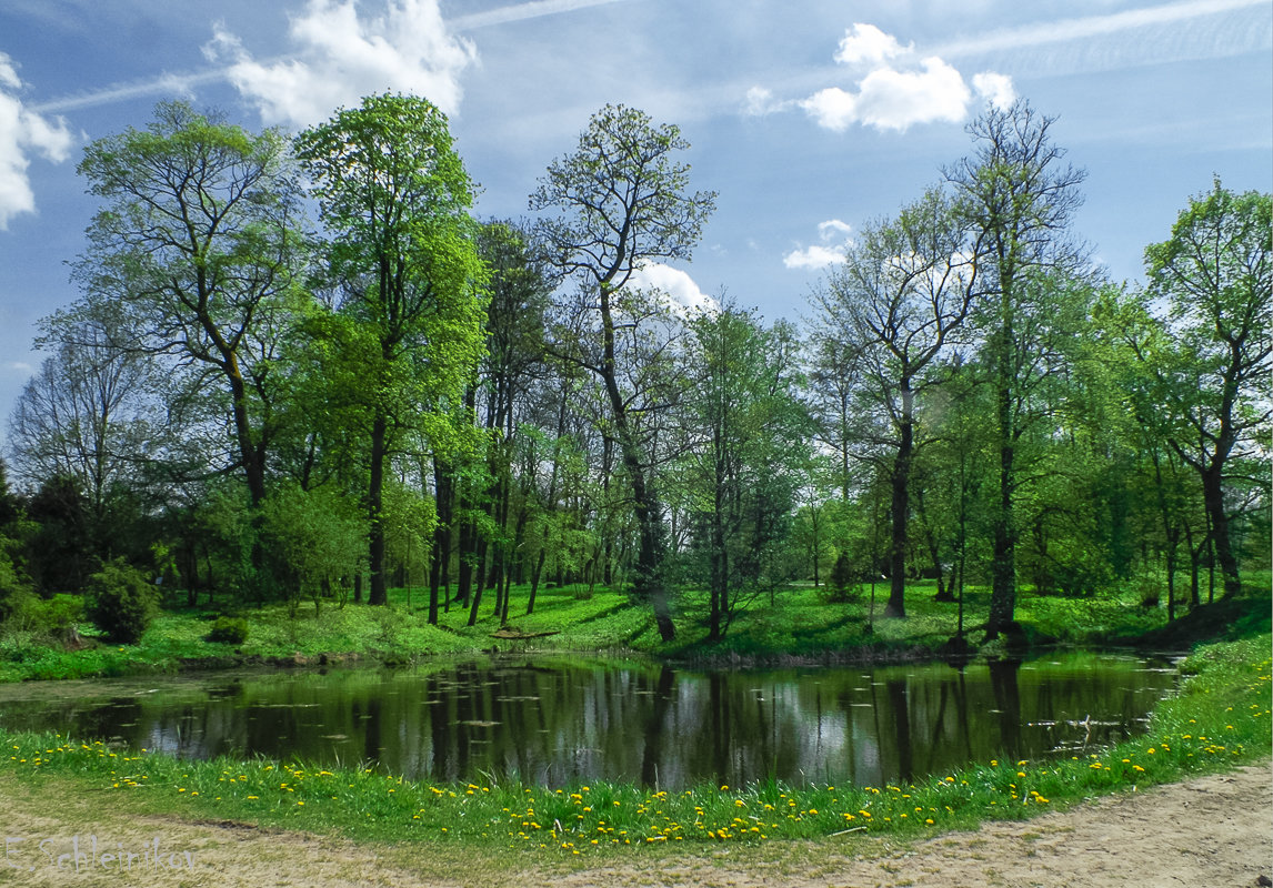 Весенний пейзаж - Evgenij Schleinikov