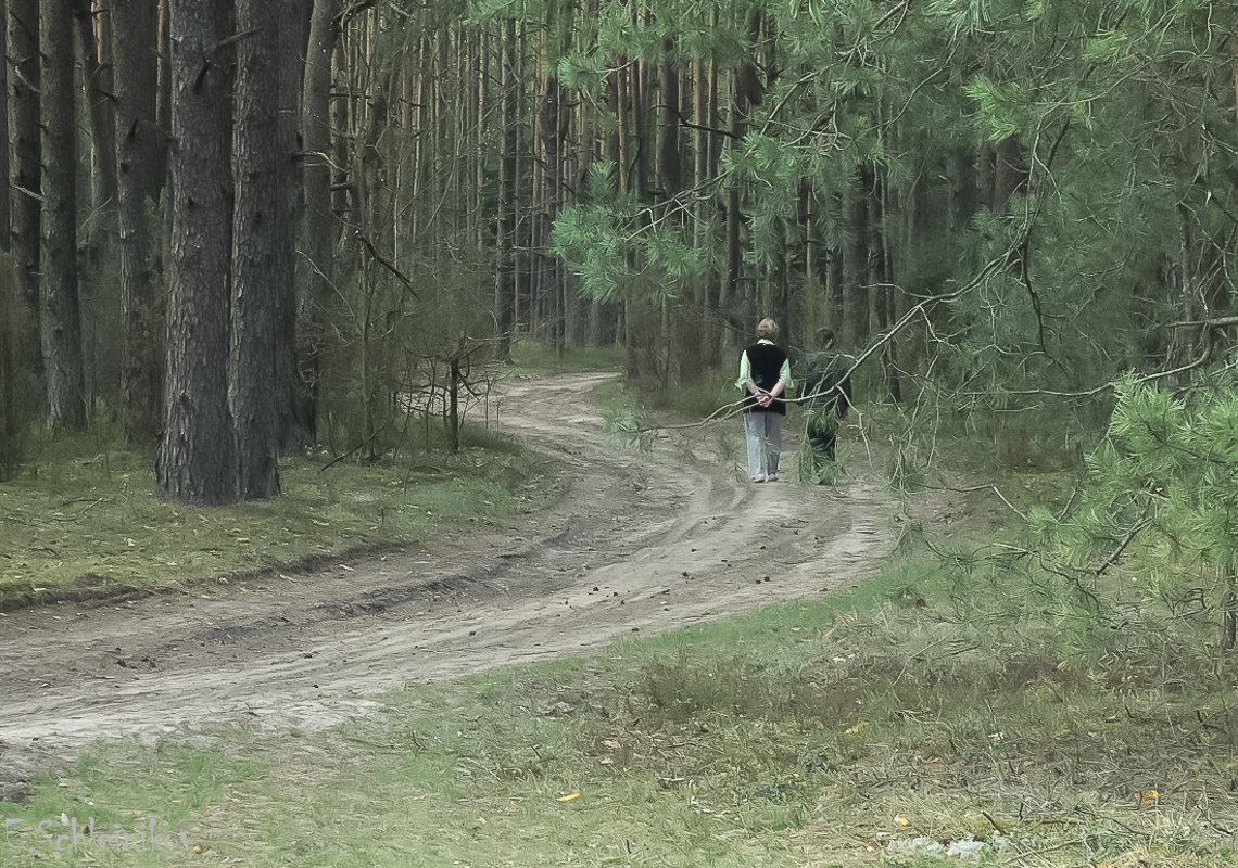 Прогулка в лесу - Evgenij Schleinikov