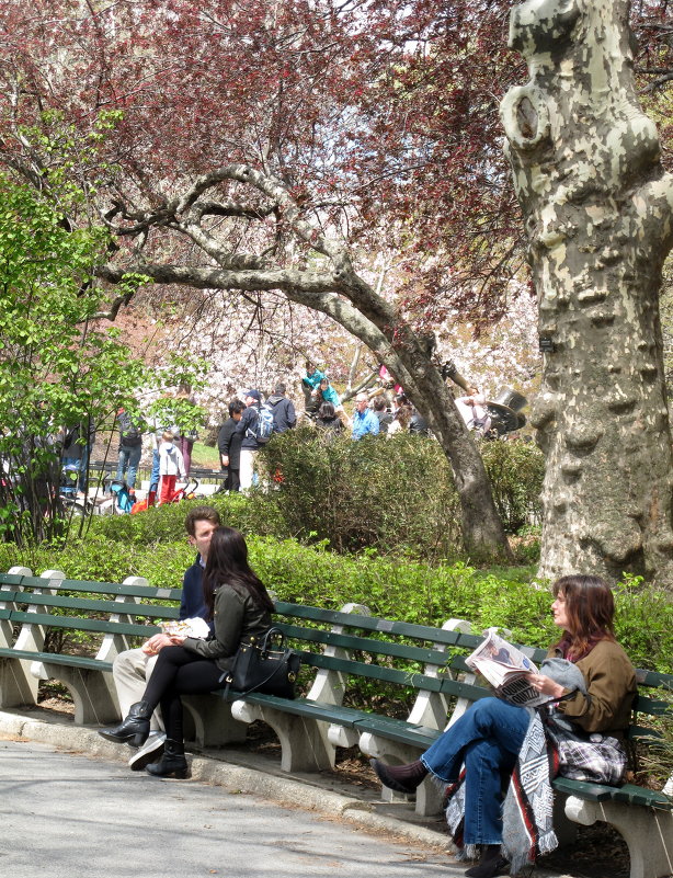 Весна в Центральном парке Нью Йорка - anna borisova 
