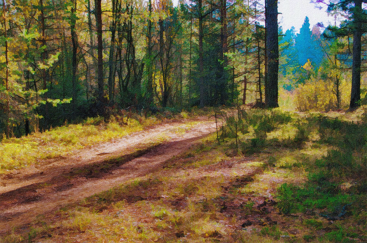 Дорога в лес - vitarmar иванов