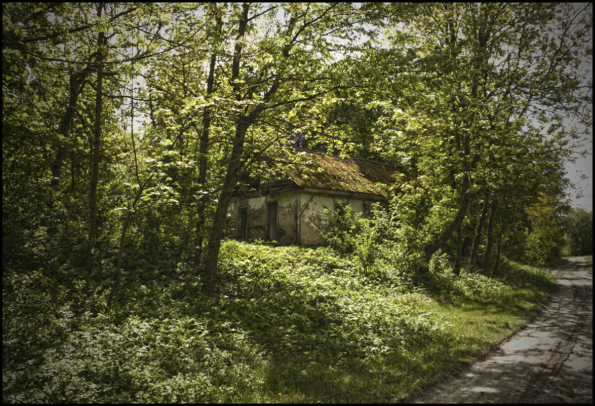 Заброшенный дом - Тарас Грушивский