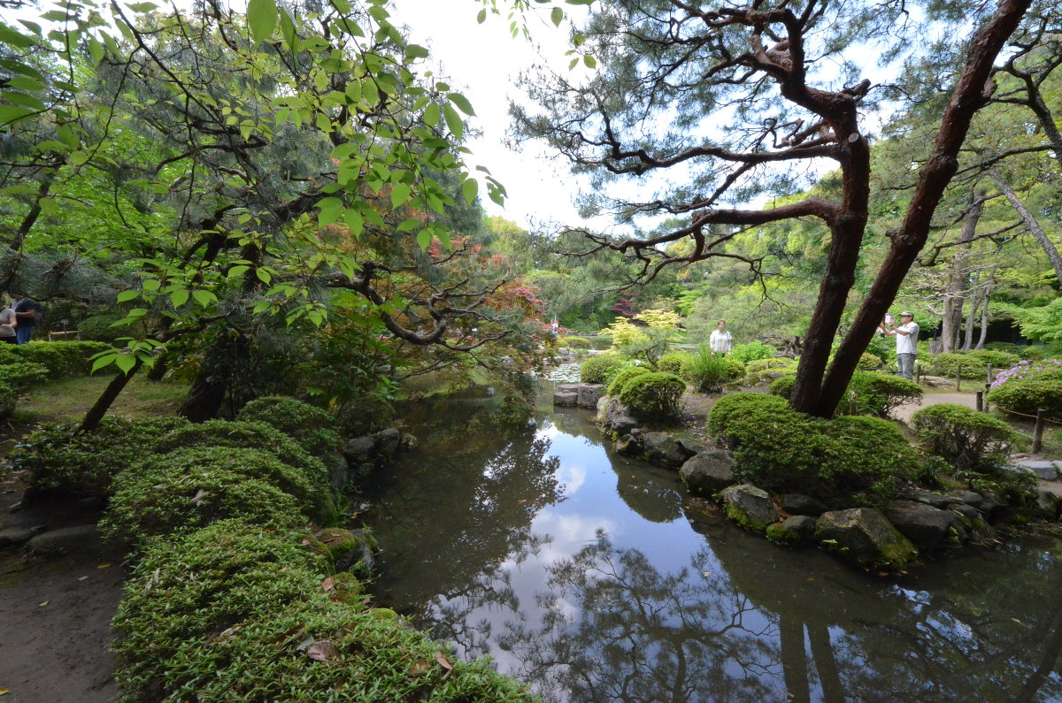 Японские сады - VITALI VITALI