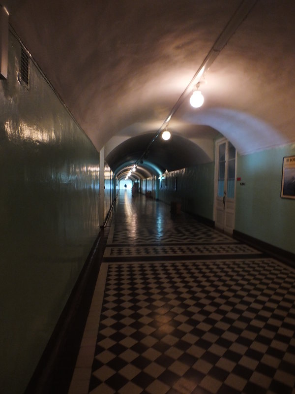 коридор ВМГ в Кроне - Rijiy Svo