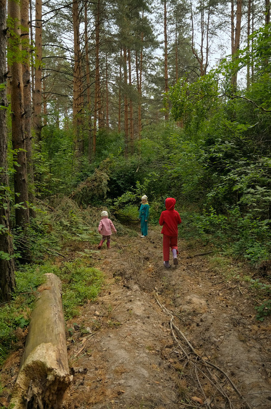 Выход в лес - Сергей Банков